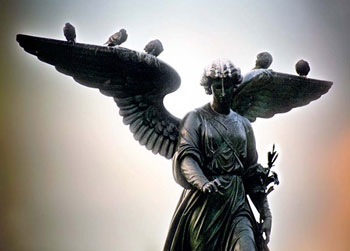 Angels - Fine art photograph by Jonathan Lane